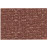 Photo：A-002 Brown total view